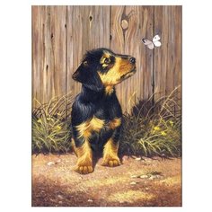 Royal & Langnickel Раскраска по номерам "Такса" 22х29 см (PJS51)