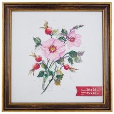 Рамка Gamma ПРК-10 26х26 см пластикс оргстеклом коричневый 2 шт.