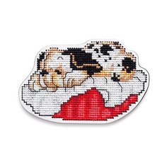 Набор для вышивания RTO Набор для вышивания по перфорированной форме с магнитом EHW032 1 шт.