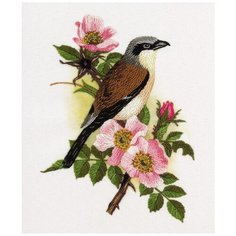 Набор для вышивания PANNA Живая картина JK-2045 ( ЖК-2045 ) Зяблик 1 шт.