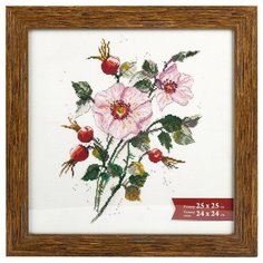 Рамка Gamma ПРК-11 25х25 см пластикс оргстеклом тик 1 шт.