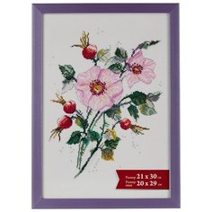 Рамка Gamma ПРК-02 21 x 30 см пластикс оргстеклом сиреневый перламутр 2 шт.