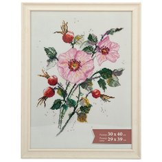 Рамка Gamma ПРК-10 30х40 см пластикс оргстеклом Леон 1 шт.