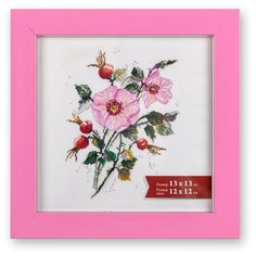 Рамка Gamma ПРК-02 13 x 13 см пластикс оргстеклом клевер 3 шт.