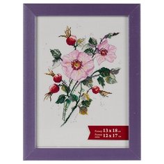 Рамка Gamma ПРК-02 13 x 18 см пластикс оргстеклом сиреневый перламутр 3 шт.