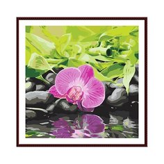 Color-Kit Раскраска по номерам 40 x 40 см Розовое отражение CF017 1 шт.