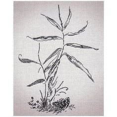 Klart набор для вышивания 8-152 Осока 2 шт.