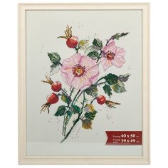 Рамка Gamma ПРК-10 40х50 см пластикс оргстеклом Леон 1 шт.