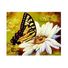 Color-Kit Раскраска по номерам + алмазная картина 40 x 50 см Летняя идиллия RA008 1 шт.