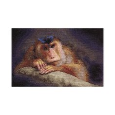 Набор для вышивания PANNA J-1085 ( Ж-1085 ) Мыслитель 2 шт.