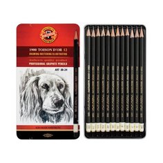 KOH-I-NOOR Hardtmuth Набор чернографитных карандашей Toison d or 12 штассорти 2Н-8В 1912012001PLRU 1 шт.