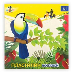KANZY Пластилин восковой KNY-300708 ( в картонной упаковке ) 12 цв. 3 шт.