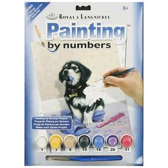 ROYAL LANGNICKEL Раскраска по номерам 2 Шалун PJS 62 1 шт.