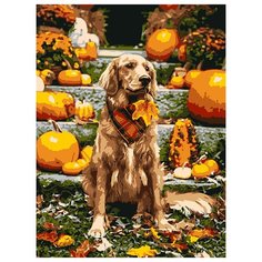 Lori Набор для раскрашивания по номерам (на картоне) 40 х 30 см Собака Ркн/ф-199 1 шт.