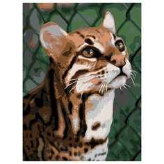 Lori Набор для раскрашивания по номерам (на картоне) 40 х 30 см Дикая кошка Ркн/ф-347 1 шт.