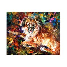 Color-Kit Раскраска по номерам + алмазная картина 40 x 50 см Породистый пес RA004 1 шт.