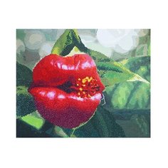 Color-Kit Раскраска по номерам + алмазная картина 40 x 50 см Цветочный поцелуй RA003 1 шт.