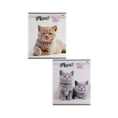 Тетрадь общая Проф-пресс Улыбающиеся котики А5 60 листов в клетку на спирали 6 шт.