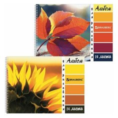 Альбом для рисования А4 24 листа, гребень, обложка картон, BRAUBERG ЭКО, 205х290 мм, "Макро" (2 вида), 105062