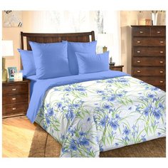 Постельное белье «Моника 1», перкаль (Евро макси) Текс Дизайн