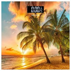 Весы электронные напольные Viconte