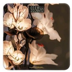 Весы электронные National NB-BS 18107