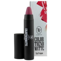 TF Cosmetics помада-карандаш для губ Color Trend Matte матовая, оттенок 207