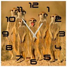 SvS Настенные часы SvS 3502500 Суслики СВС