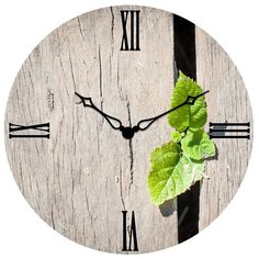 SvS Настенные часы SvS 3003119 СВС