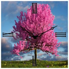 SvS Настенные часы SvS 4003161 СВС