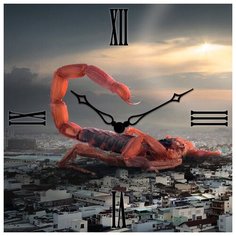 SvS Настенные часы SvS 3003184 СВС