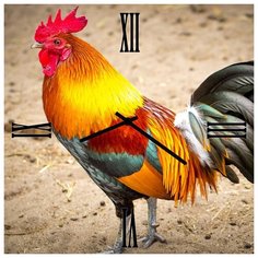 SvS Настенные часы SvS 4003172 СВС