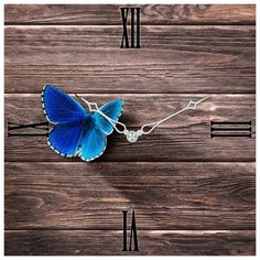 SvS Настенные часы SvS 3503146 СВС