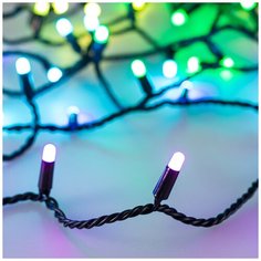 Светодиодная гирлянда ARD-STRING-CLASSIC-10000-BLACK-95LED-MILK-LIVE RGBW-DMX (24V, 10W) (Ardecoled, IP65) Arlight