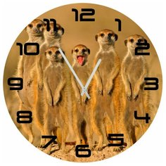 SvS Настенные часы SvS 3002501 Суслики СВС