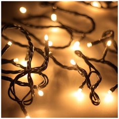 Светодиодная гирлянда ARD-STRING-HOME-5000-GREEN-50LED-FLASH WARM (230V, 3.5W) (Ardecoled, IP20) Arlight