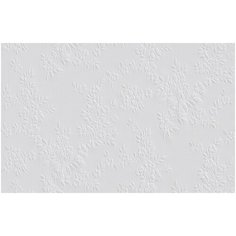 Обои Erfurt Novaboss 1002137 , флизелин на флизелине 25 х 0,75 м