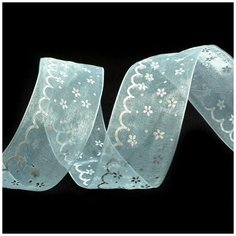 QC-06.5 цв.64 Ленты декоративные TBY.ЛДК.QC-06.5 шир.40 мм цв.64 уп.9,14 м Ideal