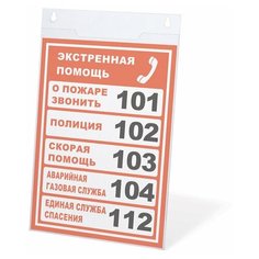Подставка настенная для рекламных материалов вертикальная (210х297 мм), А4, оргстекло, BRAUBERG, 290428