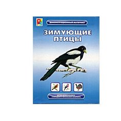 Настольная игра Радуга "Зимующие птицы" (с-764)