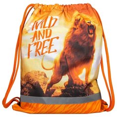 ArtSpace Мешок для обуви Дикие кошки МО-26-1св_15672, оранжевый