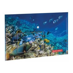 Папка-конверт с кнопкой BRAUBERG "SEA WORLD", А4, 160 мкм, до 100 листов, цветная печать, 228041