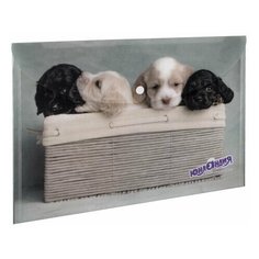 Папка-конверт с кнопкой юнландия "Щенки", А4, 160 мкм, до 100 листов, цветная печать, 228050