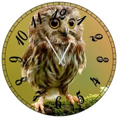 SvS Настенные часы SvS 3501873 А я думала это Сова СВС