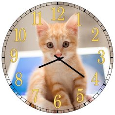 SvS Настенные часы SvS 3502034 Рыжий котенок СВС