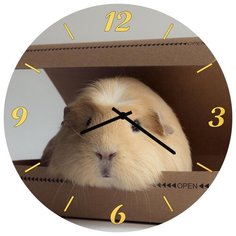 SvS Настенные часы SvS 3002074 Хомяк СВС