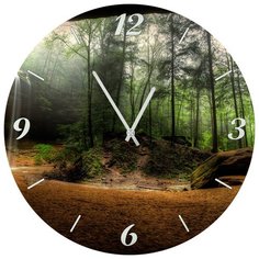 SvS Настенные часы SvS 3501823 Вид их пещеры СВС