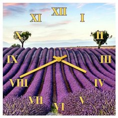 SvS Настенные часы SvS 3501583 Фиолетовое поле СВС