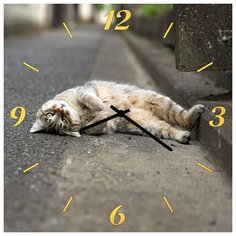 SvS Настенные часы SvS 3501850 Кот валяется на дороге СВС