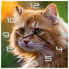 SvS Настенные часы SvS 3501854 Красивый рыжий кот СВС